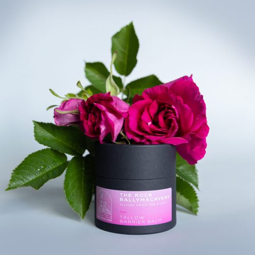 A black container labeled Tallow Balm sits beside vibrant pink roses and green leaves against a light background.