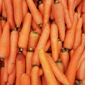 A close-up of a large pile of Lunaria carrots, unpeeled and without green tops, displaying various sizes and a vibrant orange hue.